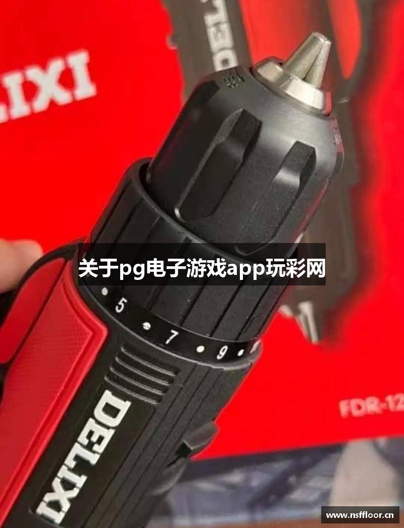 关于pg电子游戏app玩彩网